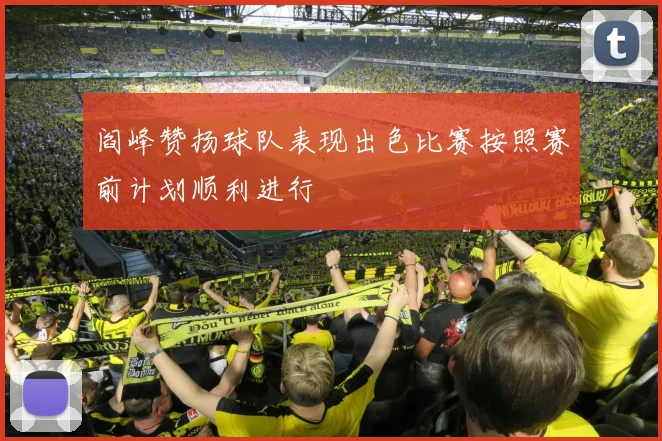 阎峰赞扬球队表现出色比赛按照赛前计划顺利进行